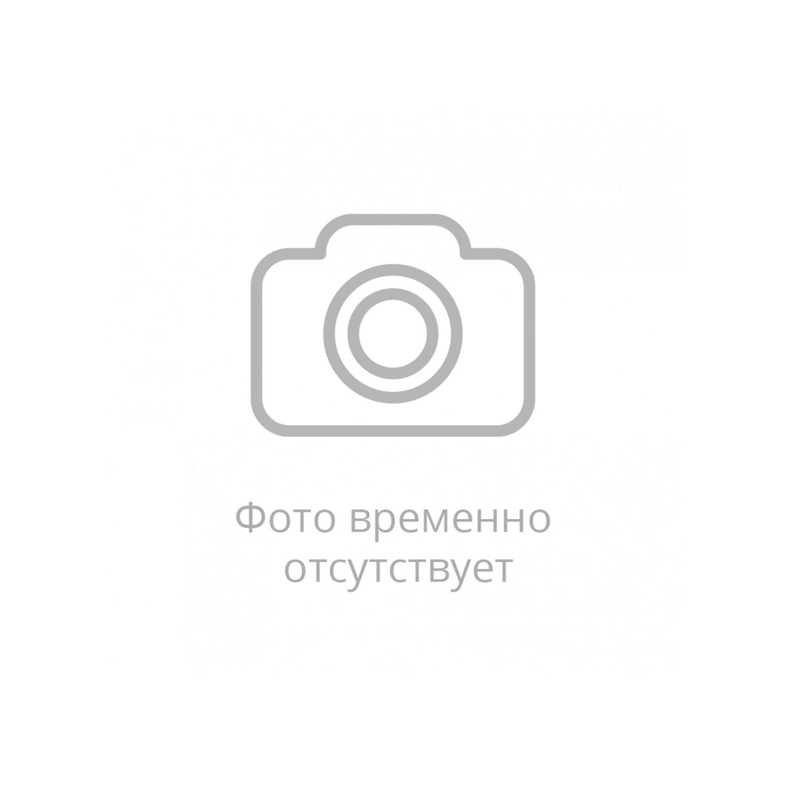 Снегоход IRBIS TUNGUS 500L 24/25 в Архангельске