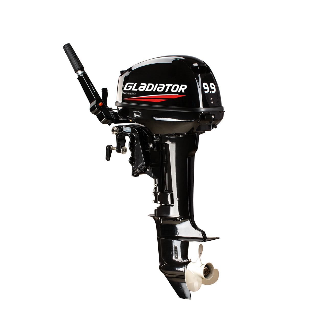 ЛОДОЧНЫЙ МОТОР GLADIATOR G9.9FHS в Архангельске