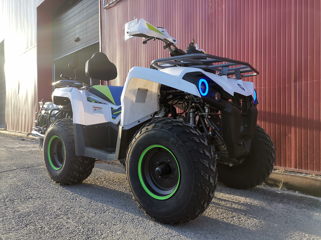 Квадроцикл PROMAX RENEGADE 280 LUX (2025) в Архангельске