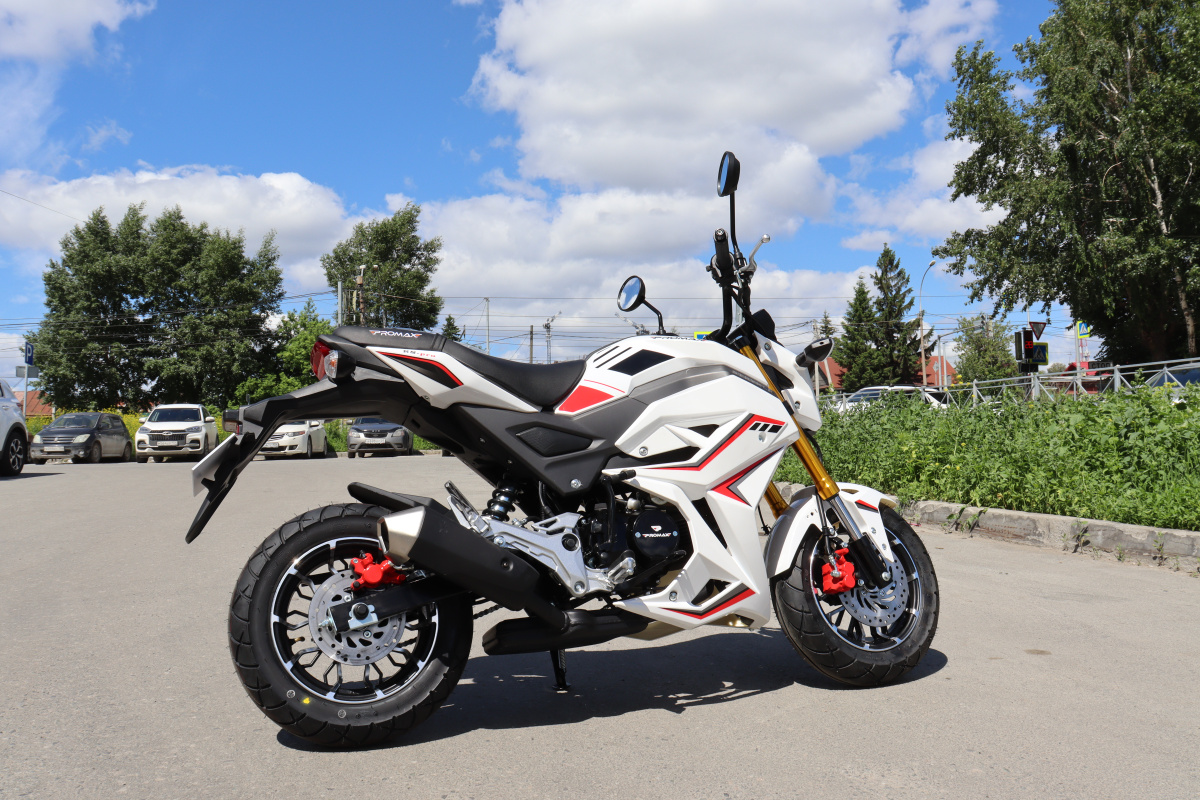 Мотоцикл PROMAX STRYKER 200(49) 2.0 в Архангельске