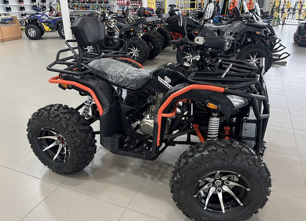 Квадроцикл PROMAX 300 4X4 ALL ROAD в Архангельске