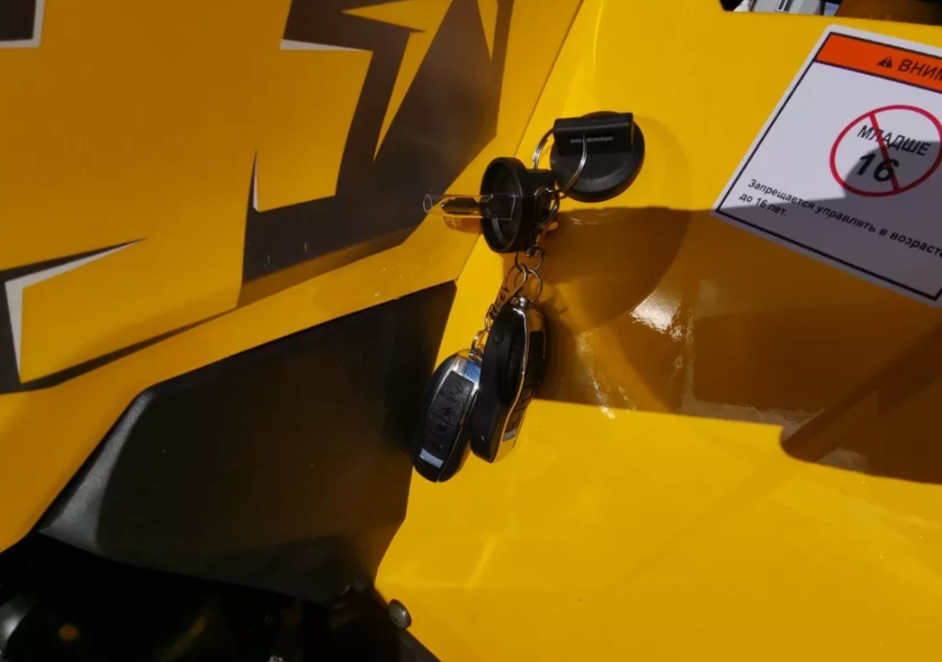 Квадроцикл MOTOLAND (МОТОЛЕНД) VOX200 WILD TRACK X PRO (баланс. вал) в Архангельске