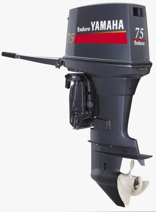 Лодочный мотор YAMAHA E75BMHDL в Архангельске
