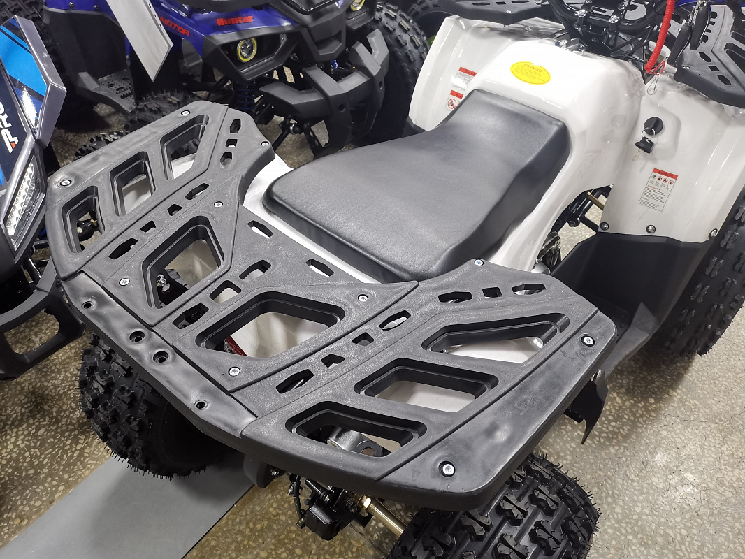 Квадроцикл PROMAX WILD 175 LUX в Архангельске