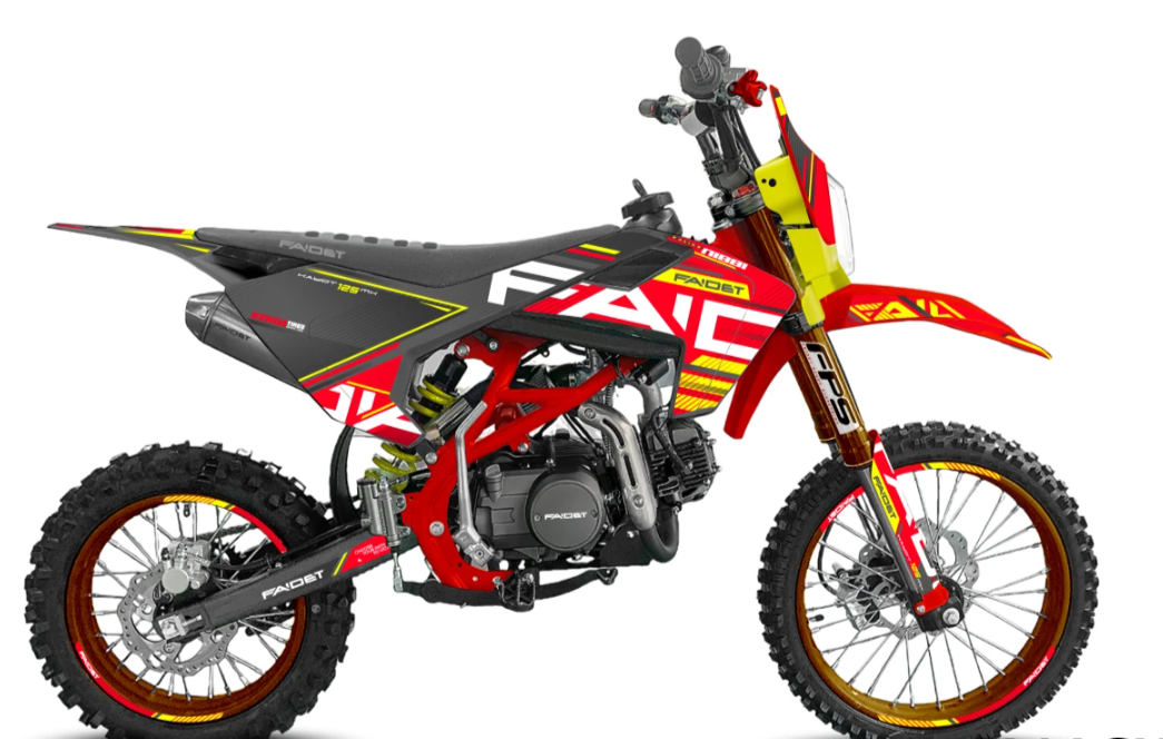 Питбайк FAIDET KAYOT 150E-PRO 17/14 в Архангельске