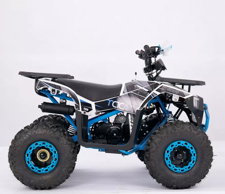 Квадроцикл YACOTA SIRIUS 110 в Архангельске