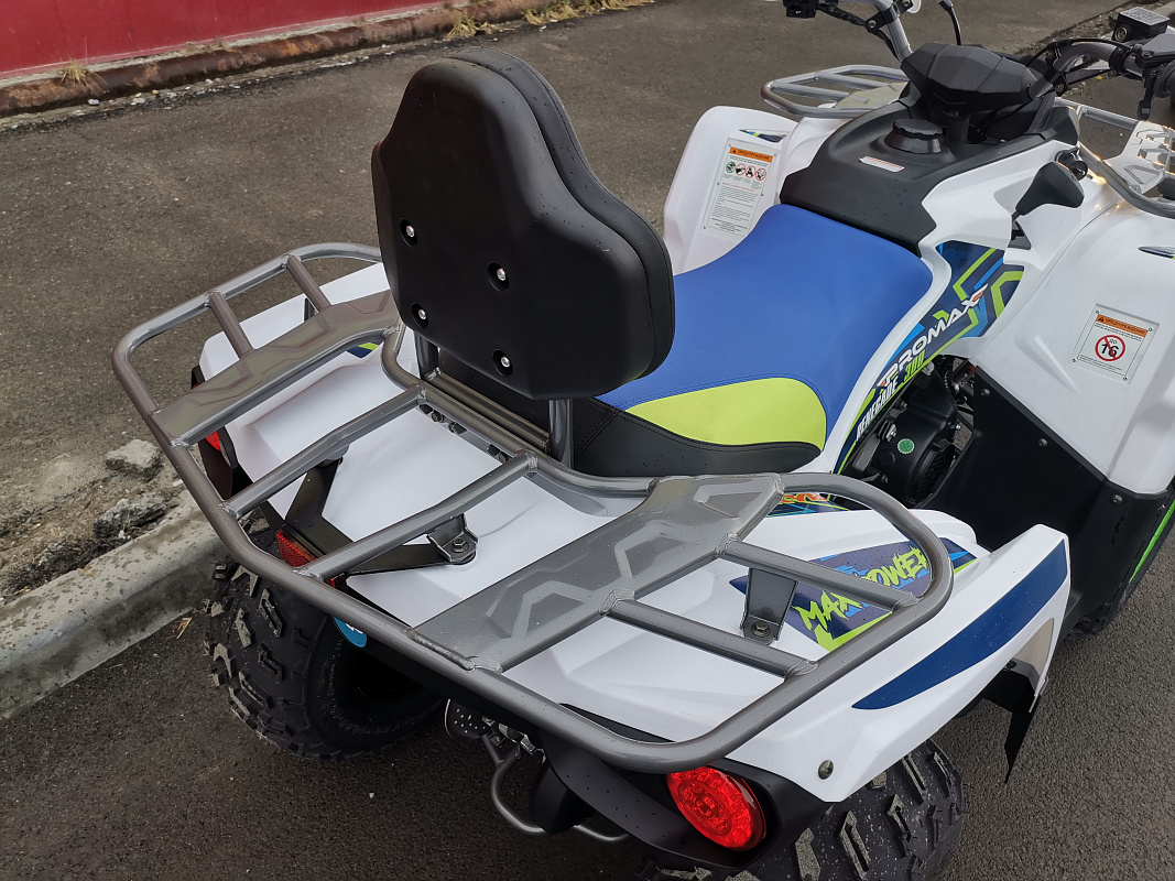 Квадроцикл PROMAX RENEGADE 280 LUX (2025) в Архангельске