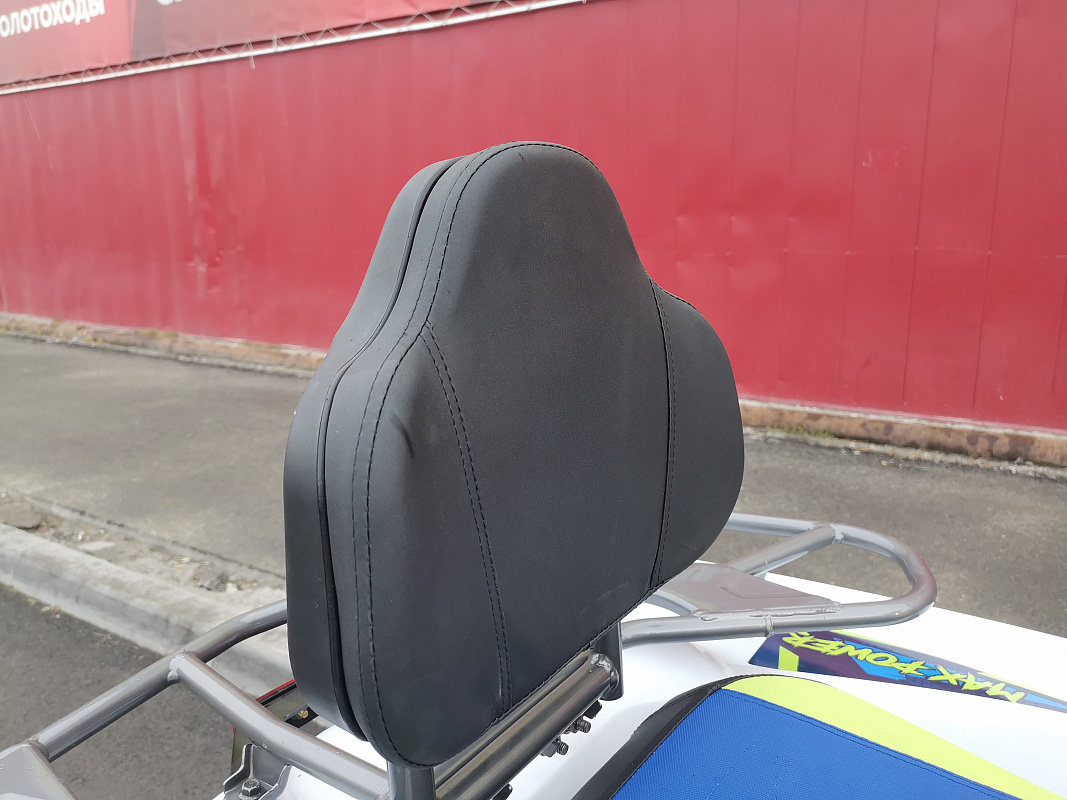 Квадроцикл PROMAX RENEGADE 280 LUX (2025) в Архангельске