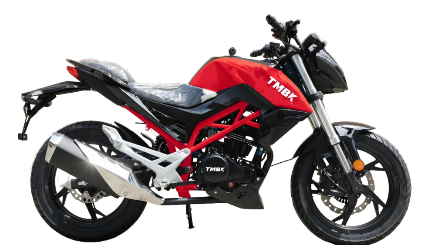 Мотоцикл TMBK Dukes 200cc в Архангельске