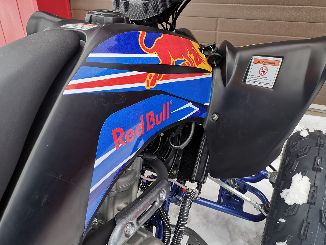 Квадроцикл PROMAX RAPTOR 300 NEW RedBull в Архангельске