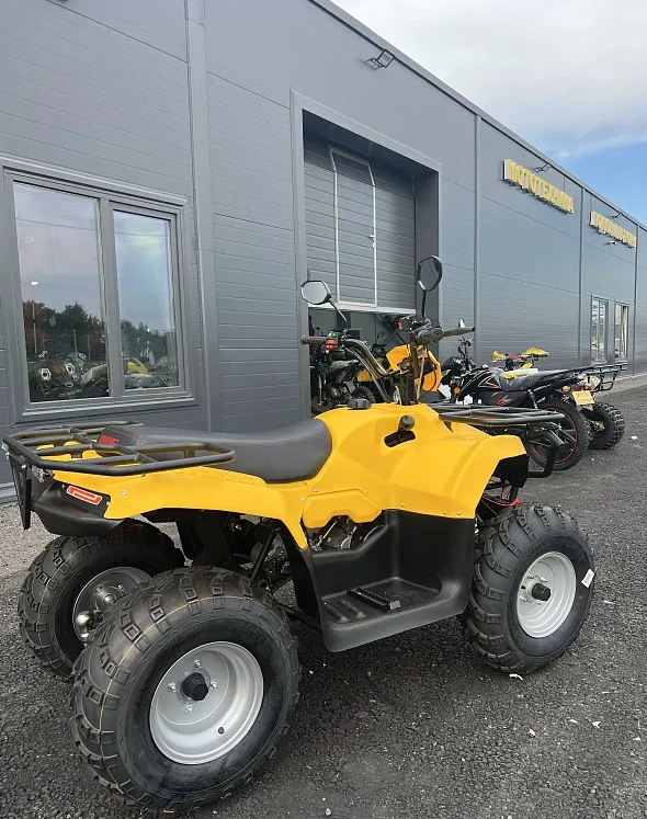 КВАДРОЦИКЛ IRBIS ATV 250  в Архангельске
