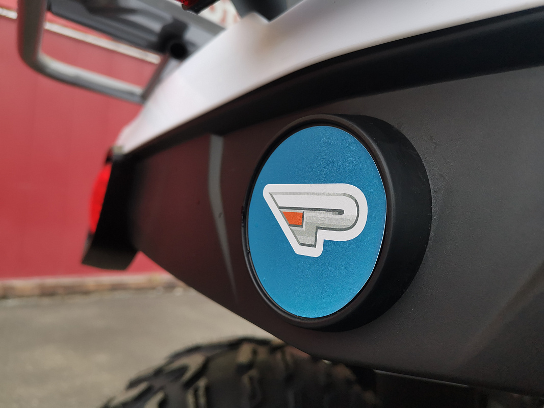 Квадроцикл PROMAX RENEGADE 280 LUX (2025) в Архангельске