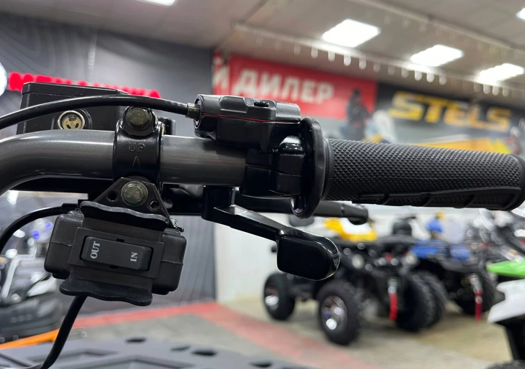 Квадроцикл PROMAX RENEGADE 300 LONG WINCH PRO (2025) в Архангельске