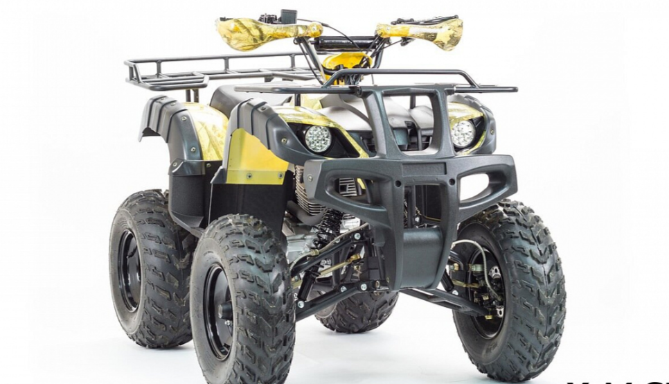 Квадроцикл MOTOLAND (МОТОЛЕНД) 250 ADVENTURE в Архангельске