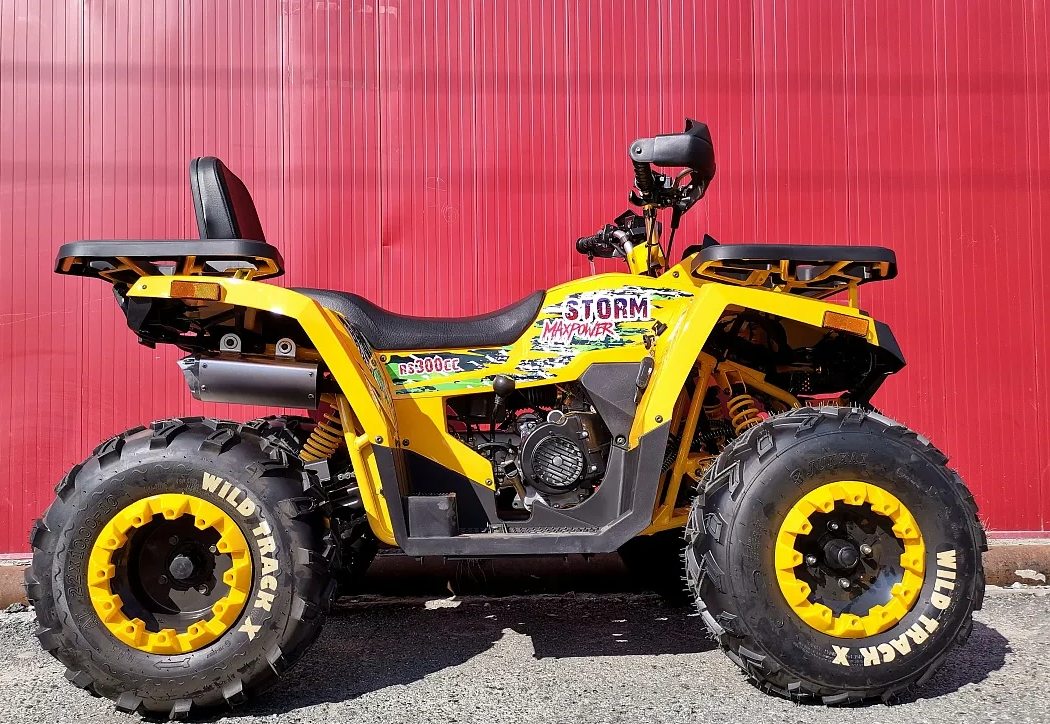 Квадроцикл PROMAX STORM 280 LUX в Архангельске
