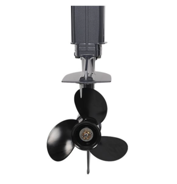 Лодочный мотор ALLFA CG Т40FW S в Архангельске