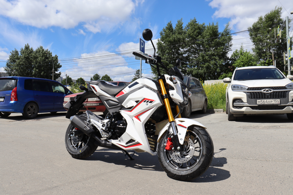 Мотоцикл PROMAX STRYKER 200(49) 2.0 в Архангельске