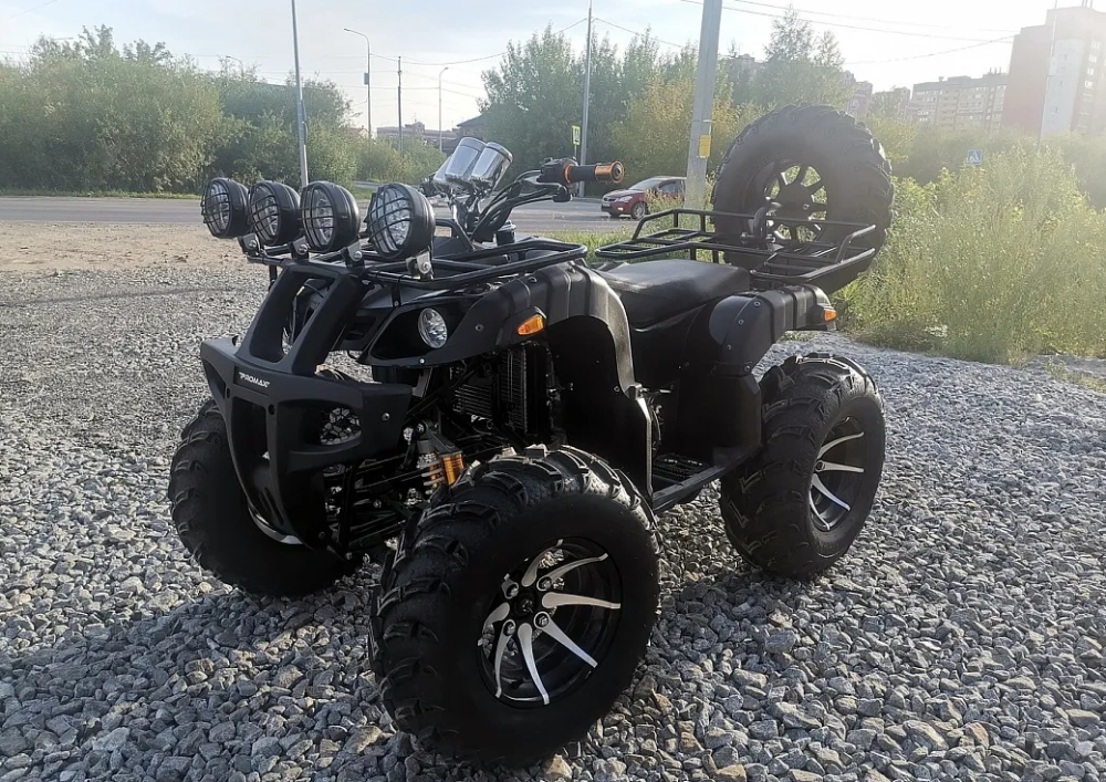 Квадроцикл PROMAX LEO 300 Max (кардан) в Архангельске