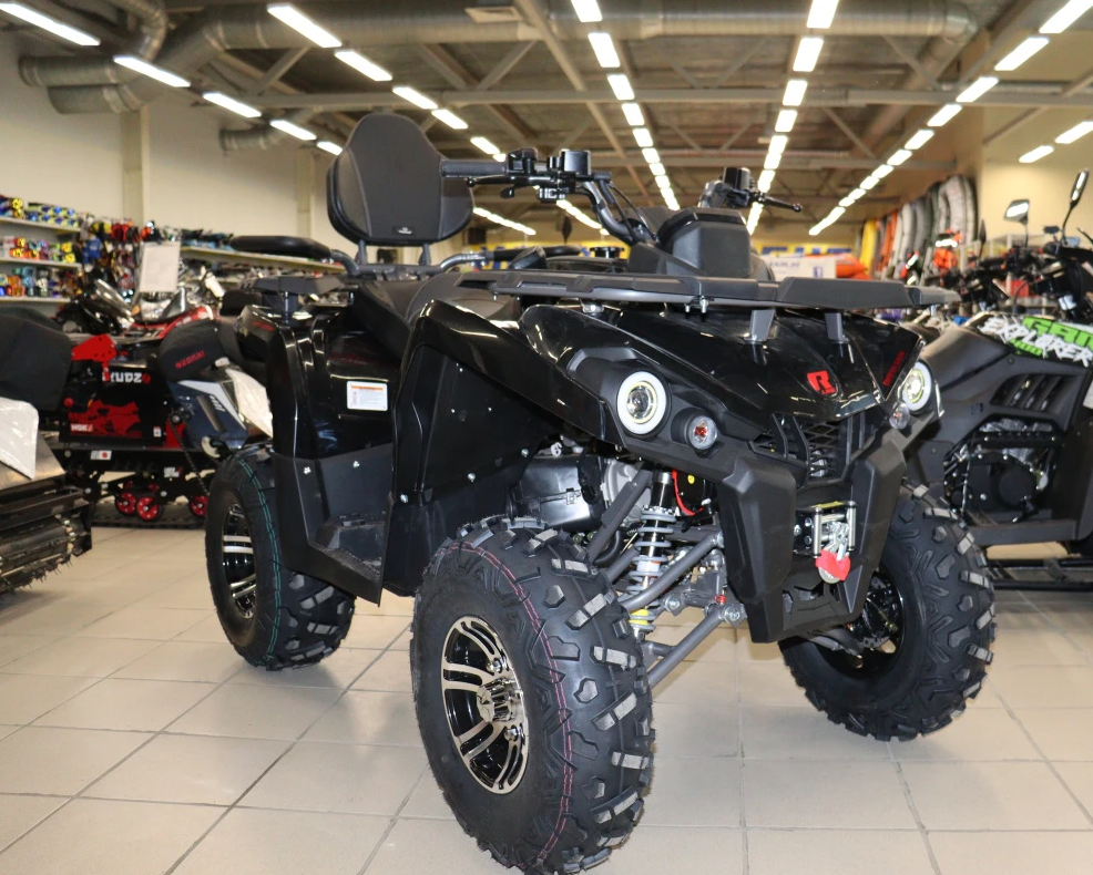 Квадроцикл PROMAX RENEGADE 300 LONG WINCH PRO (2025) в Архангельске