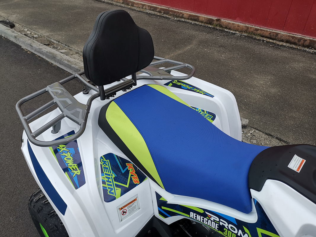 Квадроцикл PROMAX RENEGADE 280 LUX (2025) в Архангельске