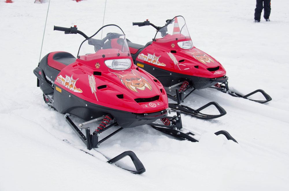 Снегоход РМ ТАЙГА РЫСЬ в Архангельске