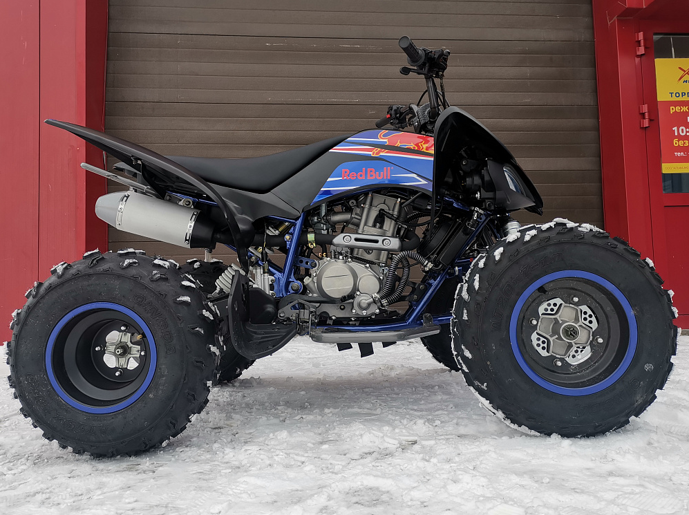 Квадроцикл PROMAX RAPTOR 300 NEW RedBull в Архангельске