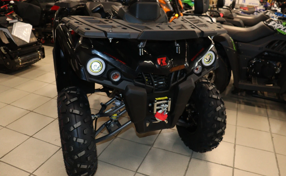 Квадроцикл PROMAX RENEGADE 300 LONG WINCH PRO (2025) в Архангельске