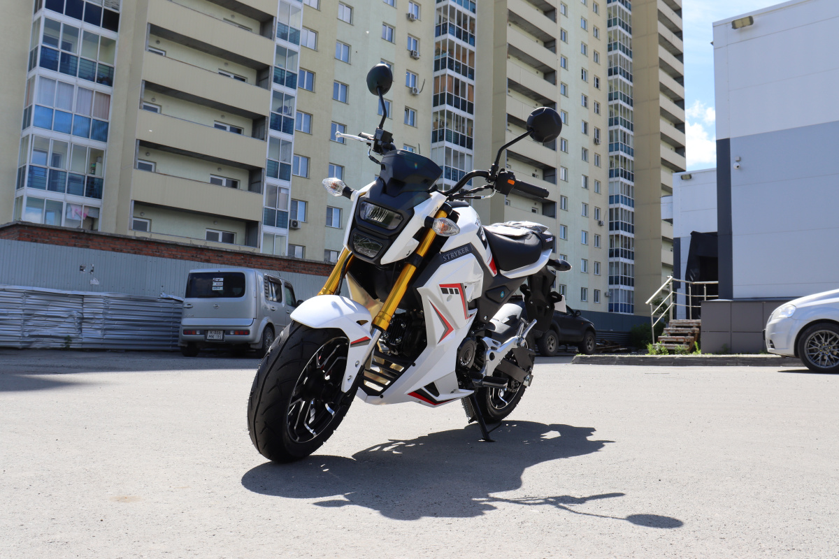 Мотоцикл PROMAX STRYKER 200(49) 2.0 в Архангельске