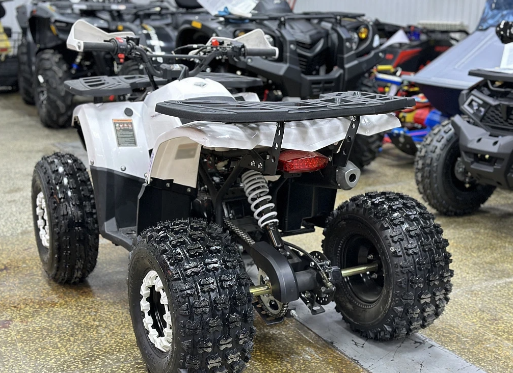 Квадроцикл PROMAX WILD 2.0 190 в Архангельске