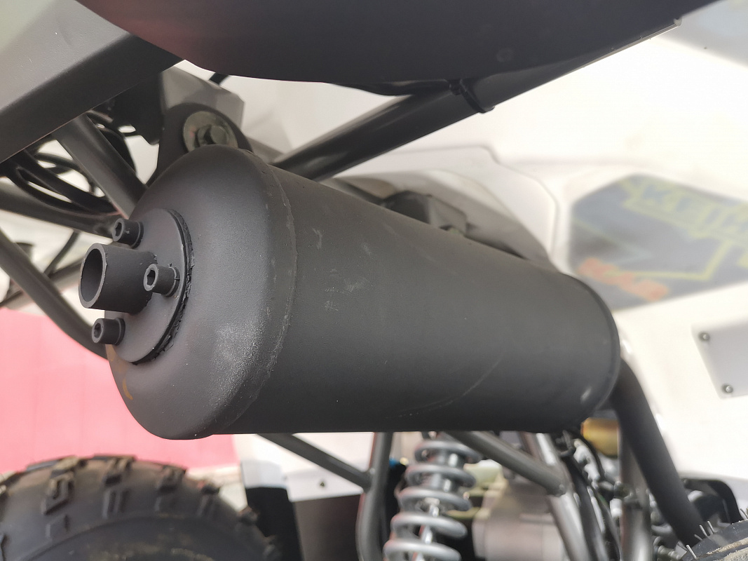 Квадроцикл PROMAX RENEGADE 280 LUX (2025) в Архангельске