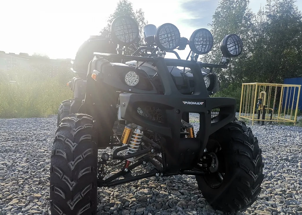 Квадроцикл PROMAX LEO 300 Max (кардан) в Архангельске