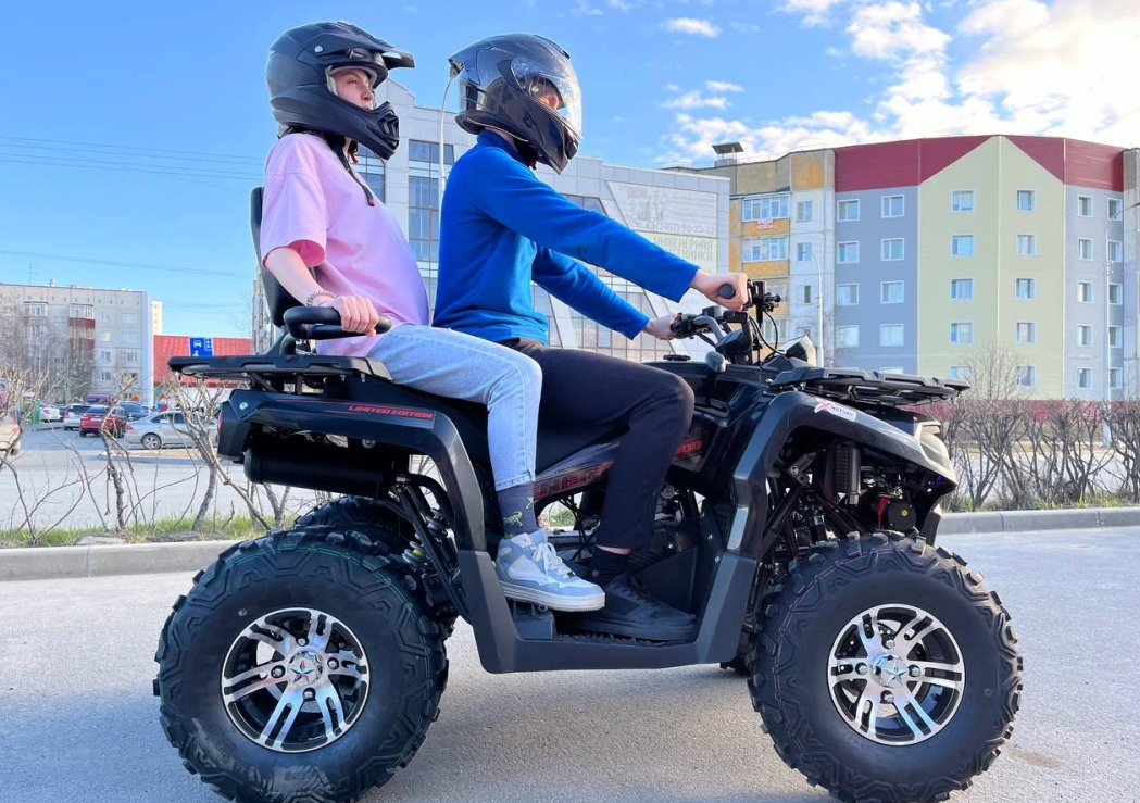 Квадроцикл PROMAX RENEGADE 300 LONG WINCH PRO (2025) в Архангельске