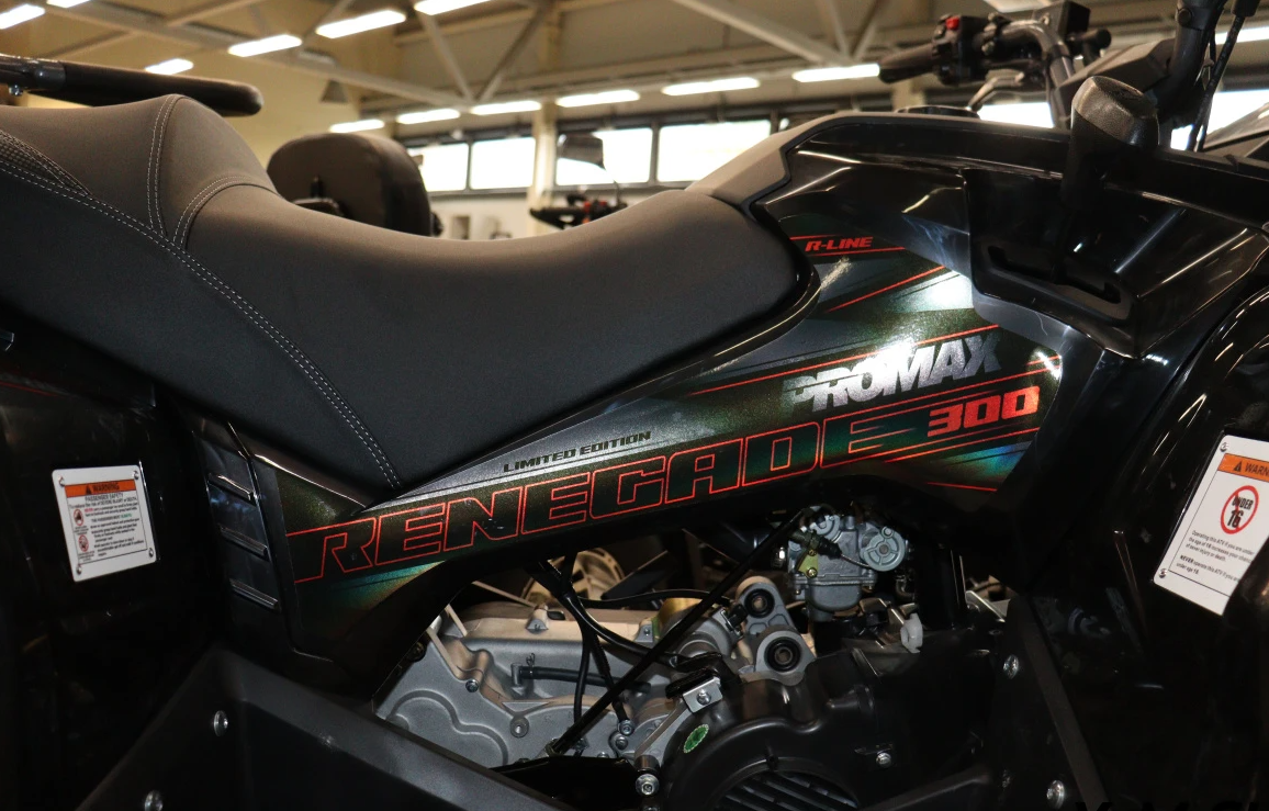Квадроцикл PROMAX RENEGADE 300 LONG WINCH PRO (2025) в Архангельске