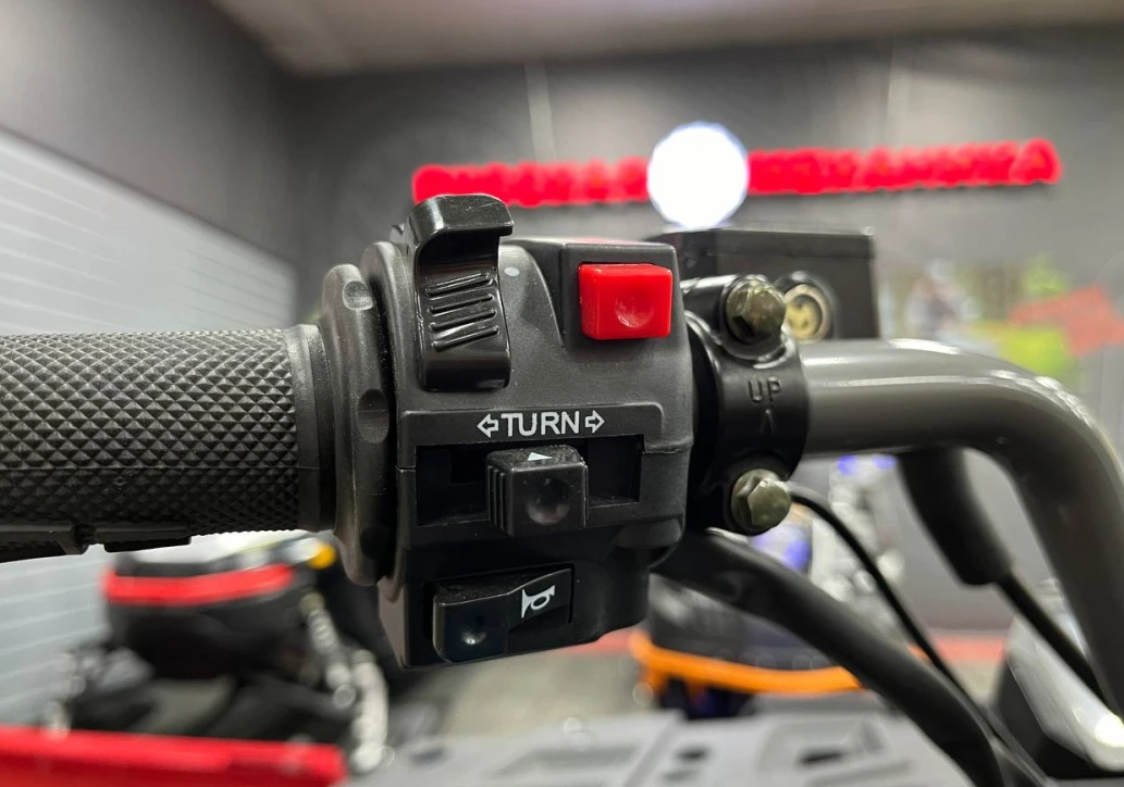 Квадроцикл PROMAX RENEGADE 300 LONG WINCH PRO (2025) в Архангельске