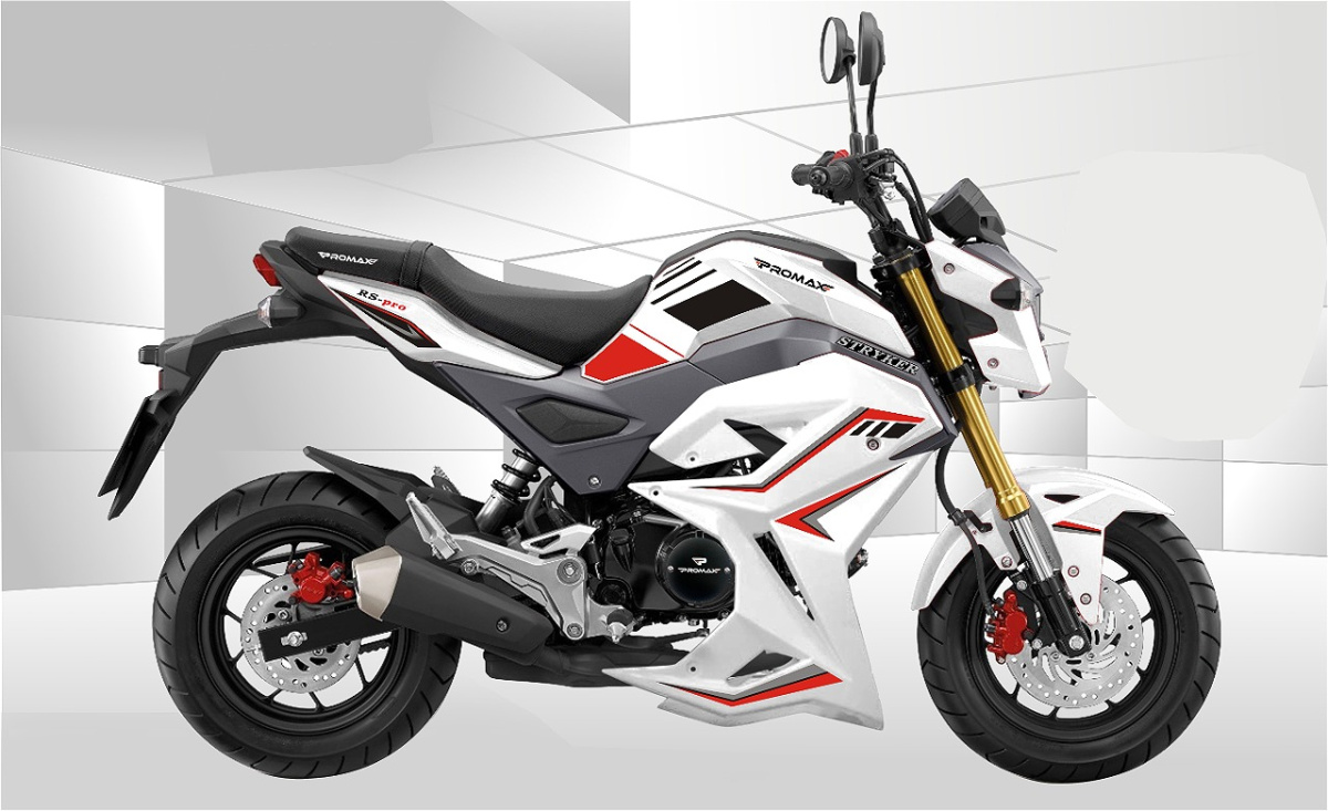 Мотоцикл PROMAX STRYKER 200(49) 2.0 в Архангельске