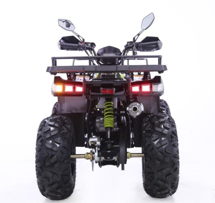 Квадроцикл YACOTA WARRIOR 200 PRO в Архангельске