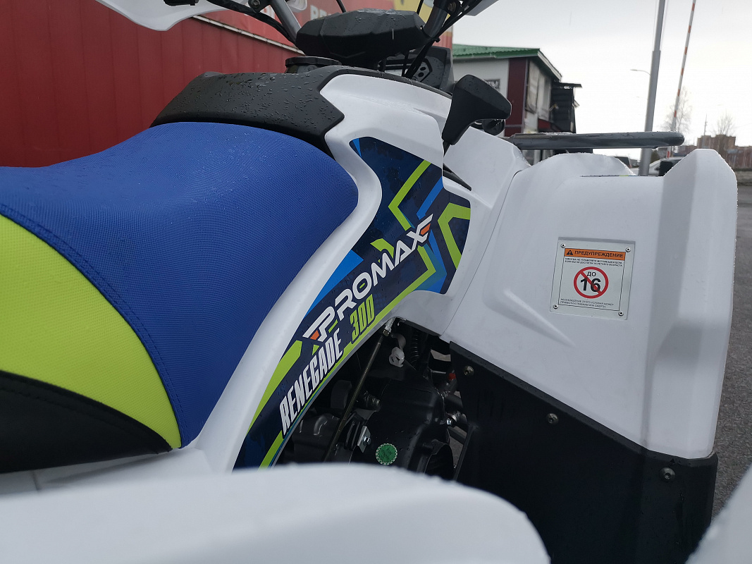Квадроцикл PROMAX RENEGADE 280 LUX (2025) в Архангельске