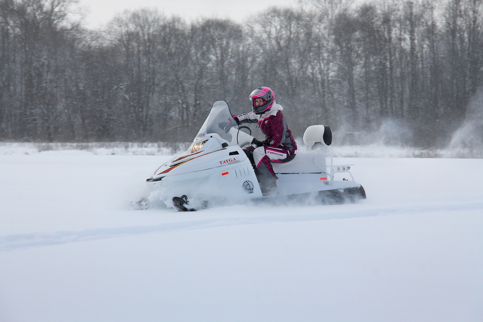 СНЕГОХОД РМ ТАЙГА ПАТРУЛЬ 551 SWT в Архангельске