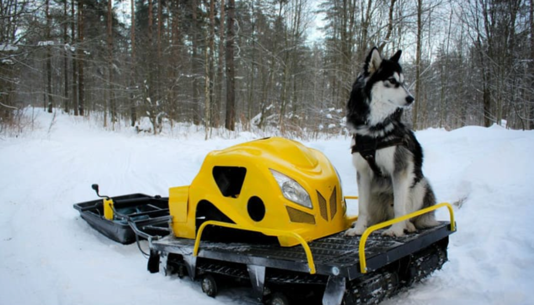 Мотобуксировщик LEBEDEV MOTORS ВОЛКОДАВ POWER V13 в Архангельске