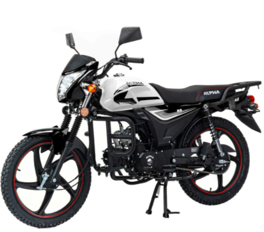Мопед MOTOLAND (МОТОЛЕНД) Альфа RS 11 (LM48-B) в Архангельске