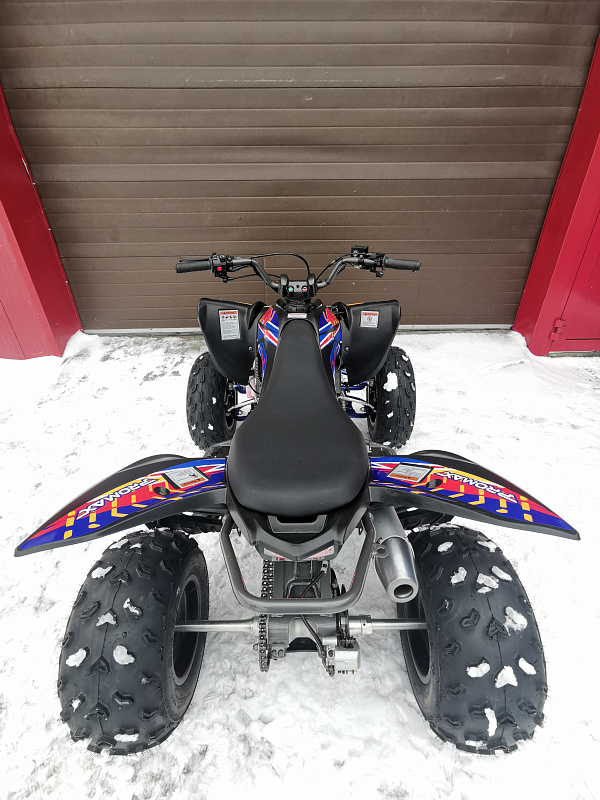 Квадроцикл PROMAX RAPTOR 300 NEW RedBull в Архангельске