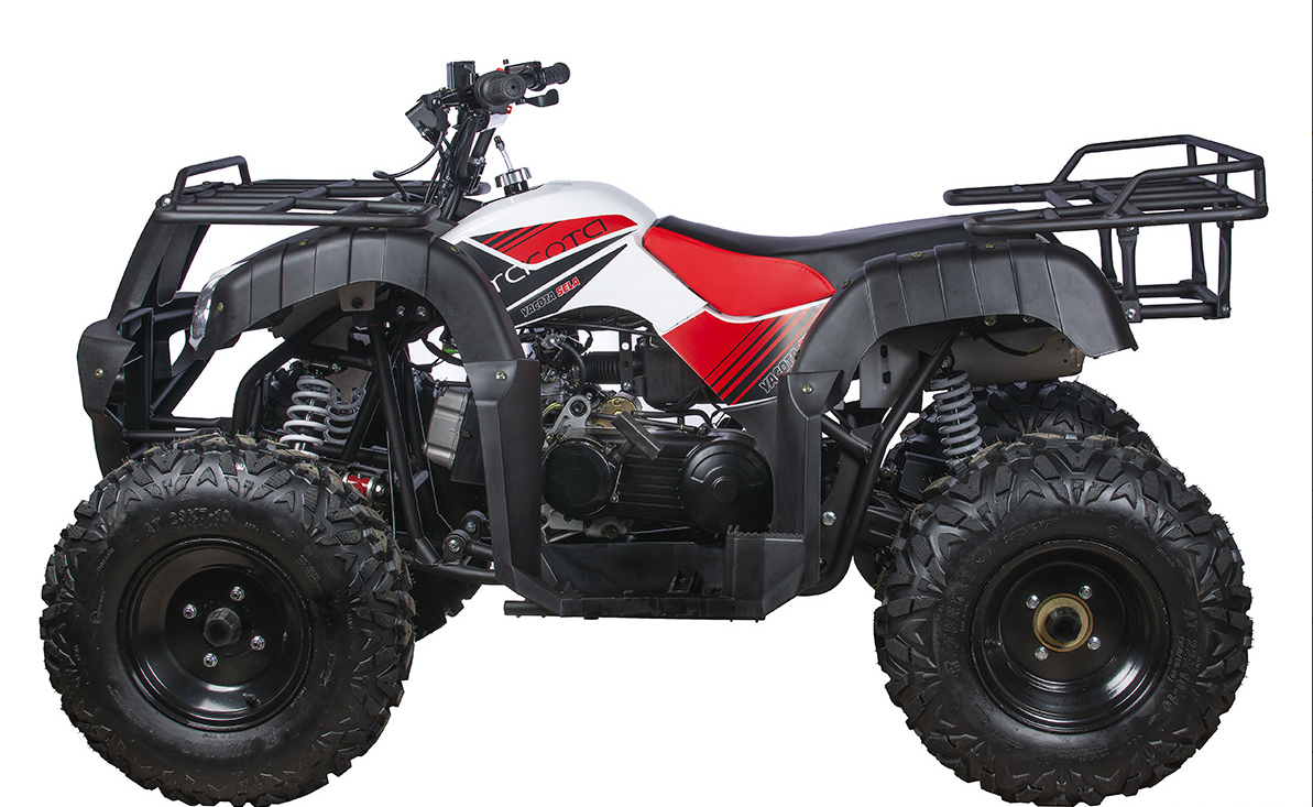 Квадроцикл YACOTA SELA 200 в Архангельске