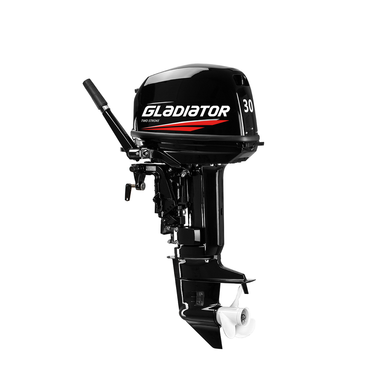 ЛОДОЧНЫЙ МОТОР GLADIATOR G30FHS в Архангельске