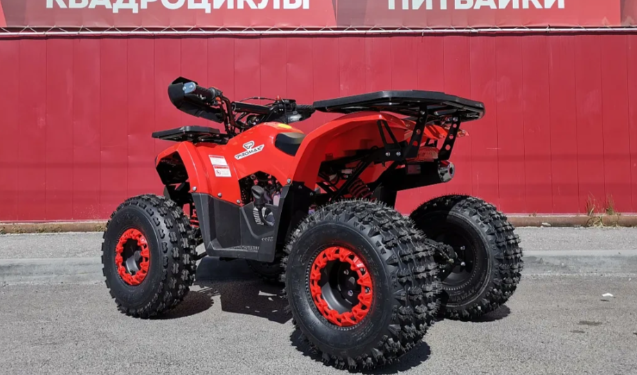 Квадроцикл PROMAX WILD 175 BASIC в Архангельске