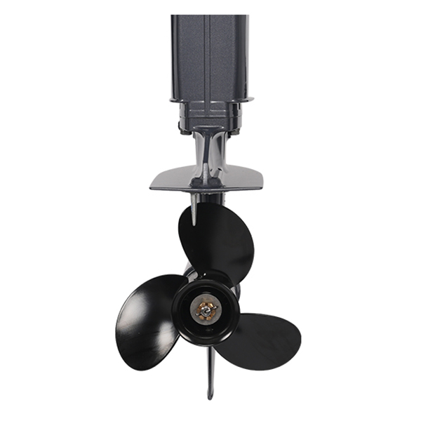 Лодочный мотор ALLFA CG T9.9(20) MAX Limit в Архангельске