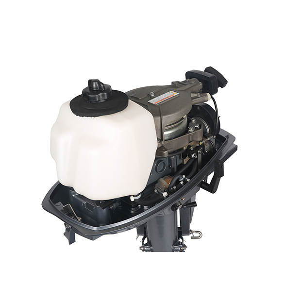 ЛОДОЧНЫЙ МОТОР ALLFA CG T5 в Архангельске