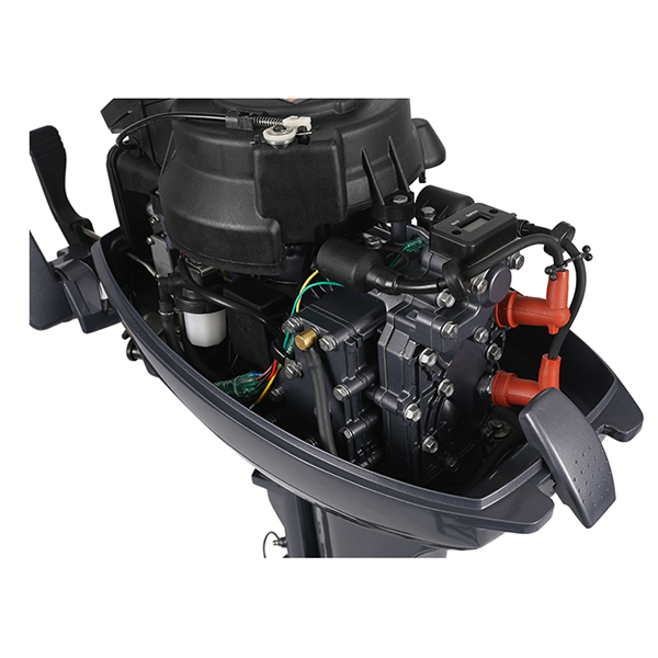 ЛОДОЧНЫЙ МОТОР ALLFA CG Т9,9 Limit в Архангельске