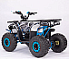 Квадроцикл YACOTA SIRIUS 110 в Архангельске