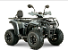 Квадроцикл YACOTA DRAGON LUX LD 150 PRO-SPORT в Архангельске