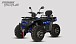 Квадроцикл PROMAX TAURUS 300 MAX-PRO LONG в Архангельске